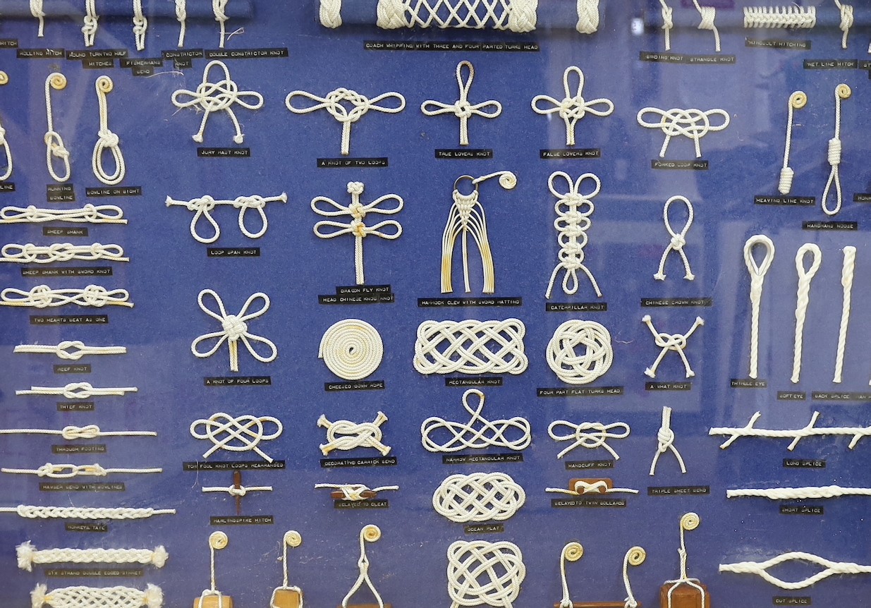 A cased display of nautical knots